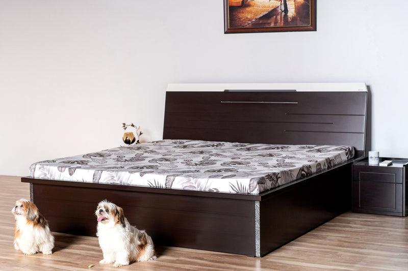 Hydra 2 King Bed (With Storage) Furniture First Guwahati King Walnut Satin 